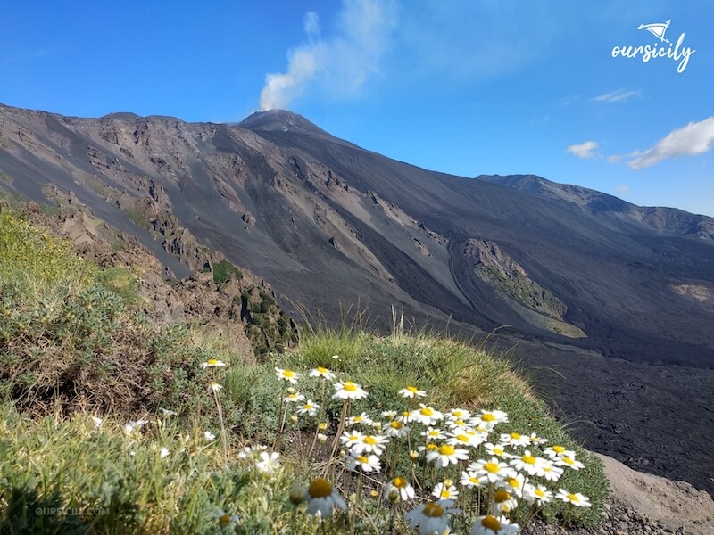 View of Valle del Bove