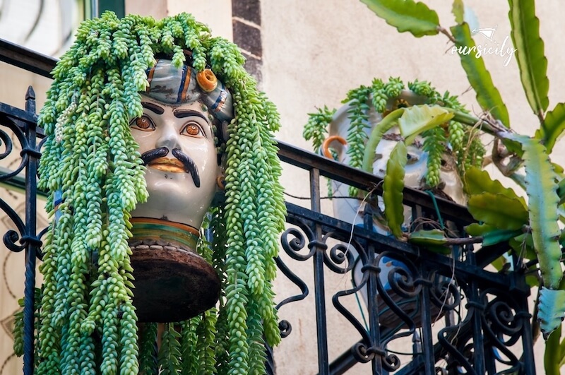 Testa di moro Taormina