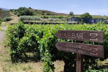 Wine bar on Mt. Etna