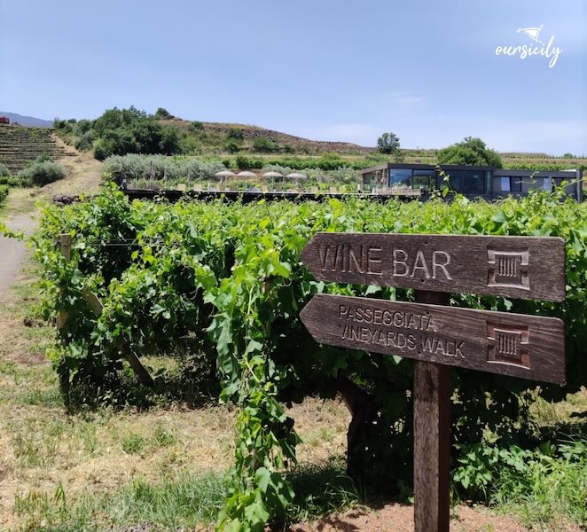 Wine bar on Mt. Etna