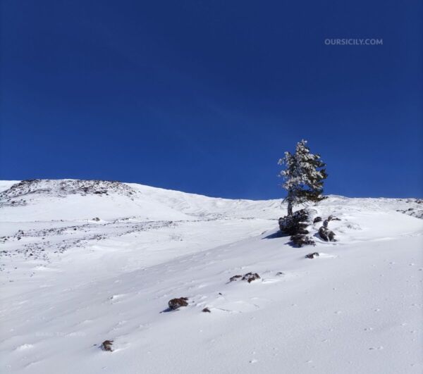 Etna Ovest 2021